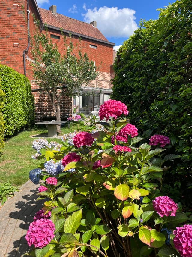 Vakantiewoning De Muur 16